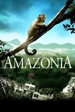 amazonie