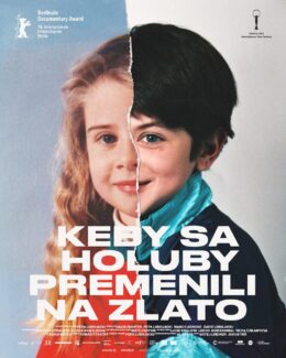 holubi